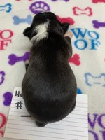 processed/d9f9ce60-007d-4e05-b50c-08be29aa9df4/listing/c7e8e47c-b997-4a5c-9f3c-3fa4bb76ff68/a47153ae-bc45-45cf-8736-c329ad3d537e