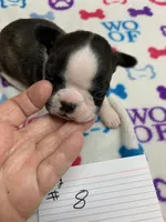 processed/d9f9ce60-007d-4e05-b50c-08be29aa9df4/listing/d1e1dbb5-b959-4774-b679-cf329947cd79/54aa2b22-4b63-498c-a56f-4e7c6a45c6b3