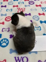 processed/d9f9ce60-007d-4e05-b50c-08be29aa9df4/listing/d1e1dbb5-b959-4774-b679-cf329947cd79/79caa402-1624-4c42-9563-db62717c985c