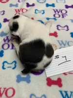 processed/d9f9ce60-007d-4e05-b50c-08be29aa9df4/listing/ea546be3-b7c2-43b4-b1e7-8d0963d85b1c/08efcbe7-3da6-4318-8a2f-7a6ec3dbf423