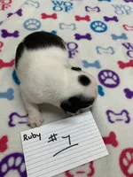 processed/d9f9ce60-007d-4e05-b50c-08be29aa9df4/listing/ea546be3-b7c2-43b4-b1e7-8d0963d85b1c/8bd0d2f7-ce0f-41e4-8582-d17bb9265f9a