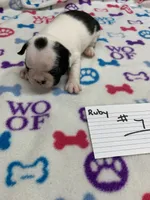 processed/d9f9ce60-007d-4e05-b50c-08be29aa9df4/listing/ea546be3-b7c2-43b4-b1e7-8d0963d85b1c/ef58734c-2a9f-4bc3-894d-434005e32799