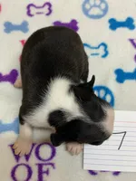 processed/d9f9ce60-007d-4e05-b50c-08be29aa9df4/listing/fd0b2328-a7e1-4795-94a1-b20d7af40475/410ab63a-db76-4373-bccb-53f73c798eac