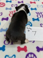 processed/d9f9ce60-007d-4e05-b50c-08be29aa9df4/listing/fd0b2328-a7e1-4795-94a1-b20d7af40475/947791e5-5f07-4137-b930-12a0eabd8d4a