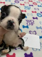 processed/d9f9ce60-007d-4e05-b50c-08be29aa9df4/listing/fd0b2328-a7e1-4795-94a1-b20d7af40475/b1553025-5438-498c-8712-92f90b24aee9