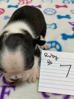 processed/d9f9ce60-007d-4e05-b50c-08be29aa9df4/listing/fd0b2328-a7e1-4795-94a1-b20d7af40475/e5951716-3109-4382-b246-21f59e5a15f9