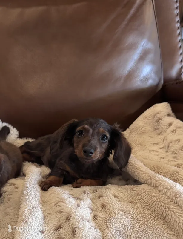 Loretta’s 🤎🩷