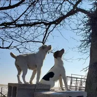 processed/da088fba-b0fa-44d5-ad4c-9b15d7732939/facility/0d4d1d06-edae-44d5-bda2-fe59288ae0d7