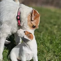 processed/da088fba-b0fa-44d5-ad4c-9b15d7732939/facility/361a3ab0-5aeb-460a-b519-970a37a0e8bc