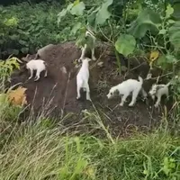 processed/da088fba-b0fa-44d5-ad4c-9b15d7732939/facility/6bc60db8-3028-4314-8897-a4147edae03b