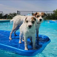 processed/da088fba-b0fa-44d5-ad4c-9b15d7732939/facility/76e6ee84-5343-4840-ab48-a7dd67e2530e