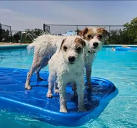 processed/da088fba-b0fa-44d5-ad4c-9b15d7732939/facility/76e6ee84-5343-4840-ab48-a7dd67e2530e