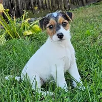 processed/da088fba-b0fa-44d5-ad4c-9b15d7732939/facility/85129722-465c-4d88-ac77-07d9d79c92e1