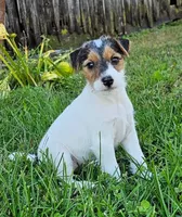 processed/da088fba-b0fa-44d5-ad4c-9b15d7732939/facility/85129722-465c-4d88-ac77-07d9d79c92e1