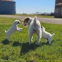 processed/da088fba-b0fa-44d5-ad4c-9b15d7732939/facility/a6cb3ea3-509f-4264-9d50-e124d4f27915