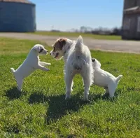 processed/da088fba-b0fa-44d5-ad4c-9b15d7732939/facility/a6cb3ea3-509f-4264-9d50-e124d4f27915