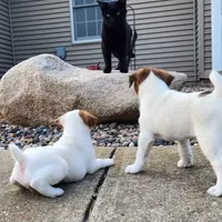 processed/da088fba-b0fa-44d5-ad4c-9b15d7732939/facility/aa104a5d-6dc5-454a-a8a1-c89a795c6c42