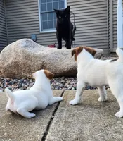 processed/da088fba-b0fa-44d5-ad4c-9b15d7732939/facility/aa104a5d-6dc5-454a-a8a1-c89a795c6c42