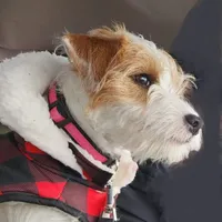 processed/da088fba-b0fa-44d5-ad4c-9b15d7732939/facility/b3b6e1d0-f1b1-4b61-8bbf-345ececa57e6