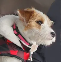 processed/da088fba-b0fa-44d5-ad4c-9b15d7732939/facility/b3b6e1d0-f1b1-4b61-8bbf-345ececa57e6