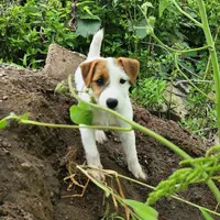 processed/da088fba-b0fa-44d5-ad4c-9b15d7732939/facility/db7fbd73-b1dd-48e6-9770-38819bb7ff62