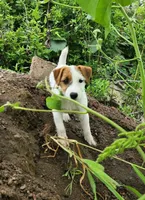 processed/da088fba-b0fa-44d5-ad4c-9b15d7732939/facility/db7fbd73-b1dd-48e6-9770-38819bb7ff62