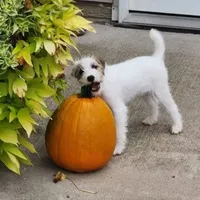 processed/da088fba-b0fa-44d5-ad4c-9b15d7732939/facility/eba7b9c9-4739-43be-ba28-6d03ebeb32a2