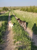 processed/da0accb7-cc55-4771-b6a9-4181fcef304c/facility/02a45308-576b-42c2-a150-9238fbf5b677