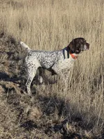 processed/da0accb7-cc55-4771-b6a9-4181fcef304c/facility/3038511d-218e-4552-bf4b-d9cf24d05f62