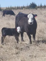 processed/da0accb7-cc55-4771-b6a9-4181fcef304c/facility/649d4141-a25a-4668-bc28-819e006938b2