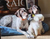 processed/da0accb7-cc55-4771-b6a9-4181fcef304c/facility/bd58b10e-77e1-4595-bb7c-a5dac87b0320