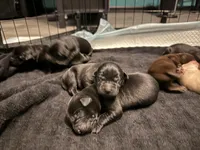 processed/da1b6546-434b-4500-9202-5d1ce638be65/facility/03ab480b-75c3-4519-af81-c816aad196bd