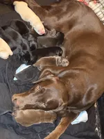 processed/da1b6546-434b-4500-9202-5d1ce638be65/facility/33808c29-38bc-49d9-bb8f-b86c7657e954