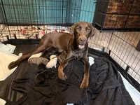 processed/da1b6546-434b-4500-9202-5d1ce638be65/facility/519430df-b6b7-4c44-9cc5-cb01e4fac3b2