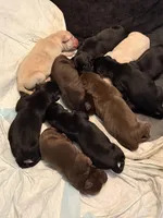 processed/da1b6546-434b-4500-9202-5d1ce638be65/facility/86b32a8d-40cb-4502-960b-e8ab54bec325