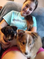 processed/da1b8ae6-3a1d-456c-9056-31439f533911/facility/6b26b233-a674-4aa3-a1ac-378837268a53