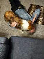 processed/da1b8ae6-3a1d-456c-9056-31439f533911/facility/97d9bd46-518e-4b86-93a3-15fc295682a1