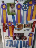 processed/da1b8ae6-3a1d-456c-9056-31439f533911/facility/eb6fb1bb-4b76-4ac7-b34b-e8dbb7badd7f