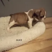 processed/da27efd5-9946-4232-8ce2-215a6a34d223/facility/00f81c66-1951-4677-950f-6ace1a9d9e99