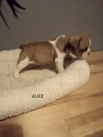 processed/da27efd5-9946-4232-8ce2-215a6a34d223/facility/00f81c66-1951-4677-950f-6ace1a9d9e99