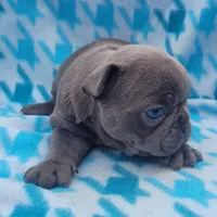 processed/da27efd5-9946-4232-8ce2-215a6a34d223/facility/46171cdd-3b15-4f3a-b98e-3abdeb3104d4