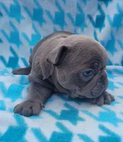 processed/da27efd5-9946-4232-8ce2-215a6a34d223/facility/46171cdd-3b15-4f3a-b98e-3abdeb3104d4