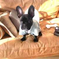 processed/da27efd5-9946-4232-8ce2-215a6a34d223/facility/570b4703-f0a6-426c-8824-8fea42301e47