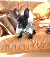 processed/da27efd5-9946-4232-8ce2-215a6a34d223/facility/570b4703-f0a6-426c-8824-8fea42301e47