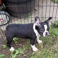 processed/da27efd5-9946-4232-8ce2-215a6a34d223/facility/57817a5b-9aa4-4097-bd07-fb7652169fce