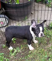 processed/da27efd5-9946-4232-8ce2-215a6a34d223/facility/57817a5b-9aa4-4097-bd07-fb7652169fce