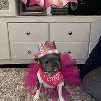 processed/da27efd5-9946-4232-8ce2-215a6a34d223/facility/6f10f403-cd40-4e2c-a6f8-69a0bb07d874