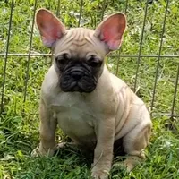 processed/da27efd5-9946-4232-8ce2-215a6a34d223/facility/aa379101-1a7b-481a-a424-347aef8d94c1