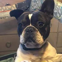 processed/da27efd5-9946-4232-8ce2-215a6a34d223/facility/e47828ee-1ffe-41e6-b4f1-68f5d539af4e