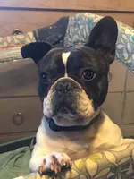 processed/da27efd5-9946-4232-8ce2-215a6a34d223/facility/e47828ee-1ffe-41e6-b4f1-68f5d539af4e